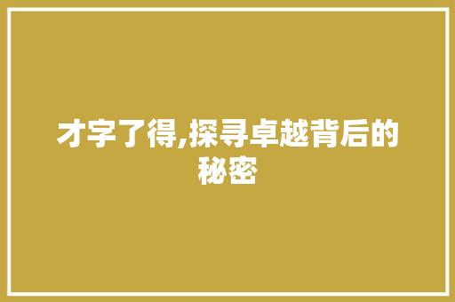 才字了得,探寻卓越背后的秘密