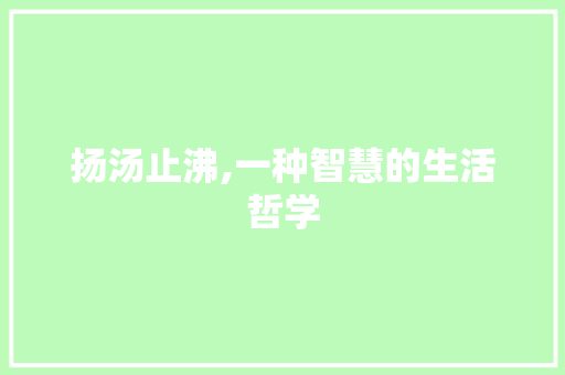 扬汤止沸,一种智慧的生活哲学
