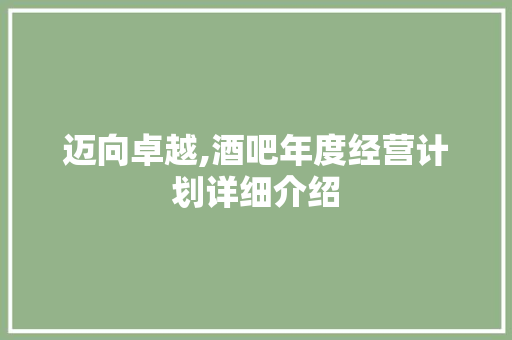 迈向卓越,酒吧年度经营计划详细介绍