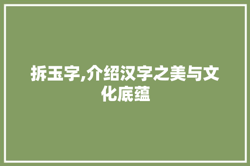 拆玉字,介绍汉字之美与文化底蕴