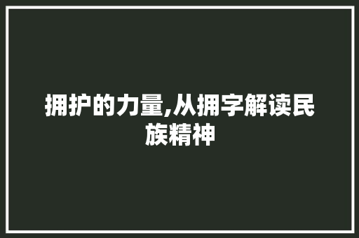 拥护的力量,从拥字解读民族精神