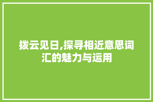 拨云见日,探寻相近意思词汇的魅力与运用