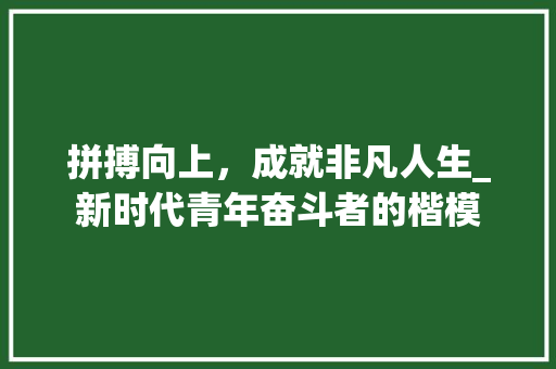 拼搏向上，成就非凡人生_新时代青年奋斗者的楷模