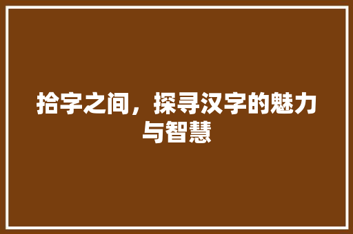 拾字之间，探寻汉字的魅力与智慧