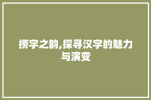 捞字之韵,探寻汉字的魅力与演变 英语单词