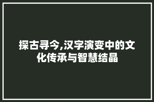探古寻今,汉字演变中的文化传承与智慧结晶 问答