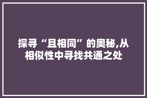 探寻“且相同”的奥秘,从相似性中寻找共通之处