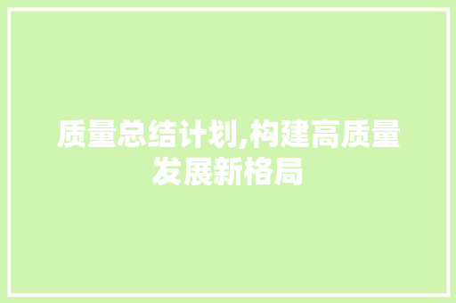 质量总结计划,构建高质量发展新格局 英语单词