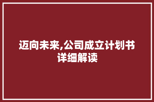 迈向未来,公司成立计划书详细解读