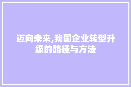 迈向未来,我国企业转型升级的路径与方法