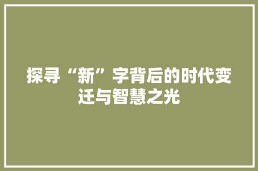 探寻“新”字背后的时代变迁与智慧之光