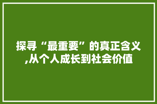 探寻“最重要”的真正含义,从个人成长到社会价值