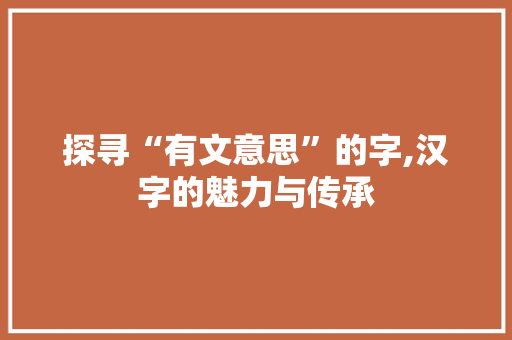 探寻“有文意思”的字,汉字的魅力与传承