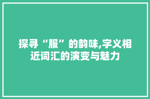 探寻“服”的韵味,字义相近词汇的演变与魅力