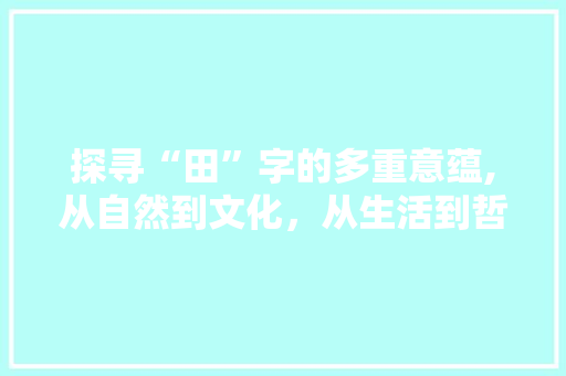 探寻“田”字的多重意蕴,从自然到文化，从生活到哲学