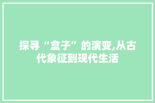 探寻“盒子”的演变,从古代象征到现代生活
