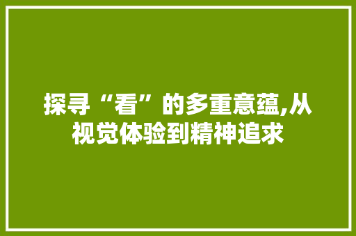 探寻“看”的多重意蕴,从视觉体验到精神追求