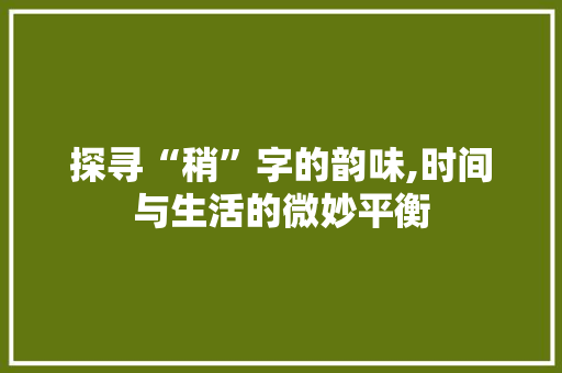 探寻“稍”字的韵味,时间与生活的微妙平衡 古代典籍