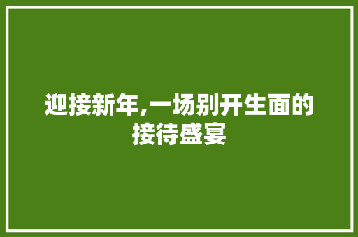 迎接新年,一场别开生面的接待盛宴