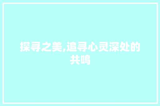 探寻之美,追寻心灵深处的共鸣