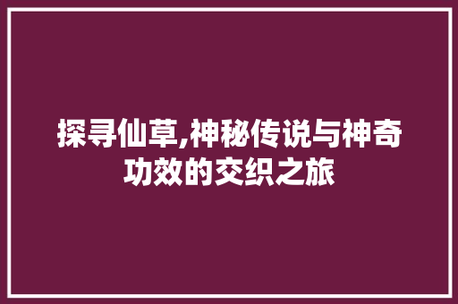 探寻仙草,神秘传说与神奇功效的交织之旅