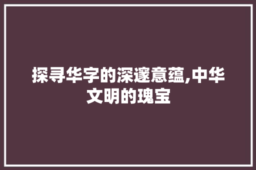 探寻华字的深邃意蕴,中华文明的瑰宝 近义词汇