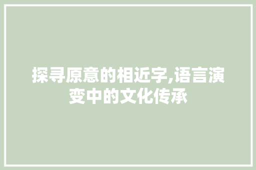 探寻原意的相近字,语言演变中的文化传承