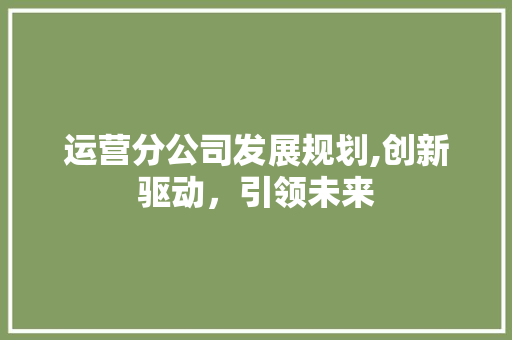运营分公司发展规划,创新驱动，引领未来