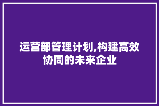 运营部管理计划,构建高效协同的未来企业 古代典籍