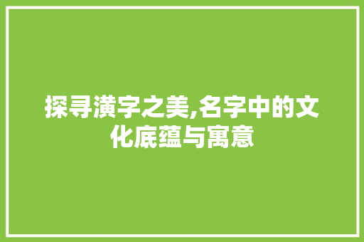探寻潢字之美,名字中的文化底蕴与寓意