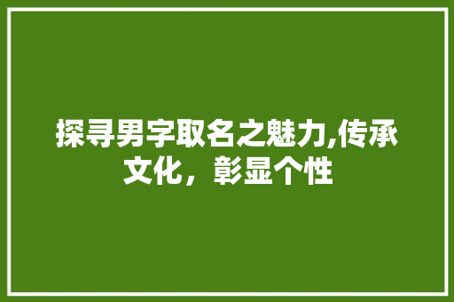 探寻男字取名之魅力,传承文化，彰显个性 近义词汇