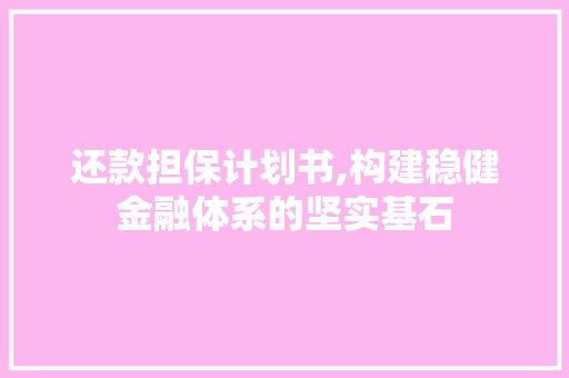 还款担保计划书,构建稳健金融体系的坚实基石