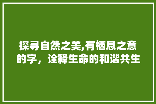 探寻自然之美,有栖息之意的字，诠释生命的和谐共生