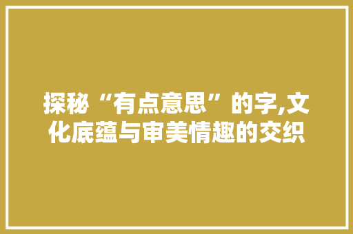 探秘“有点意思”的字,文化底蕴与审美情趣的交织