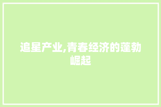 追星产业,青春经济的蓬勃崛起