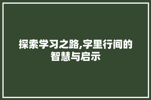 探索学习之路,字里行间的智慧与启示