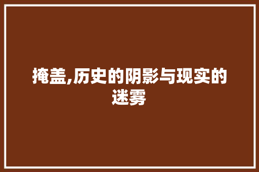 掩盖,历史的阴影与现实的迷雾