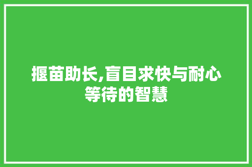 揠苗助长,盲目求快与耐心等待的智慧