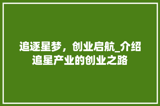追逐星梦，创业启航_介绍追星产业的创业之路
