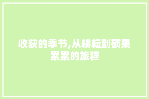 收获的季节,从耕耘到硕果累累的旅程