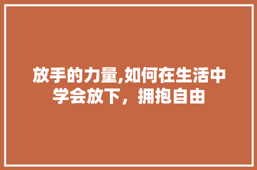 放手的力量,如何在生活中学会放下，拥抱自由