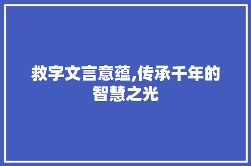 救字文言意蕴,传承千年的智慧之光