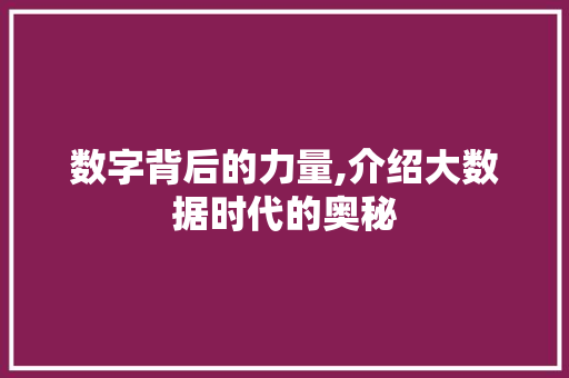 数字背后的力量,介绍大数据时代的奥秘
