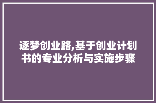 逐梦创业路,基于创业计划书的专业分析与实施步骤