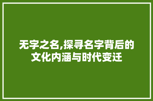 无字之名,探寻名字背后的文化内涵与时代变迁