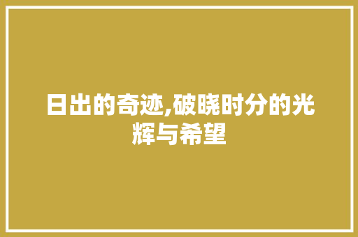 日出的奇迹,破晓时分的光辉与希望