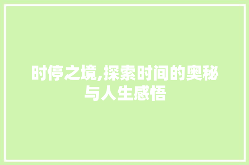 时停之境,探索时间的奥秘与人生感悟