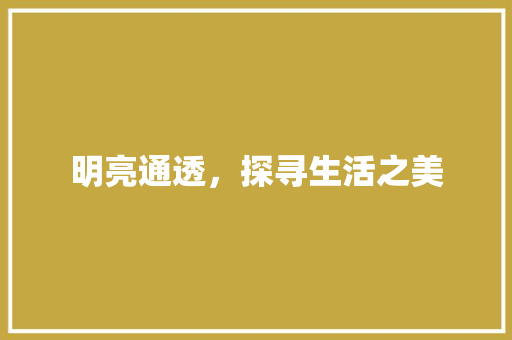 明亮通透，探寻生活之美 短语