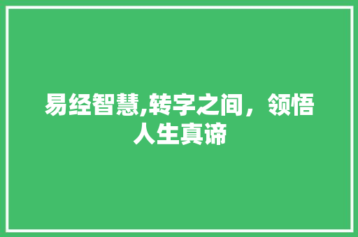 易经智慧,转字之间，领悟人生真谛