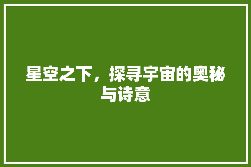 星空之下，探寻宇宙的奥秘与诗意 近义词汇